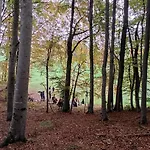 Malga Laben Panzió 3*