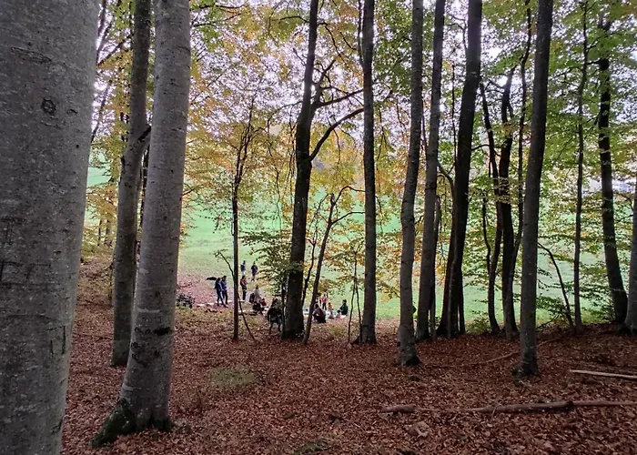 Malga Laben Nocleg ze śniadaniem