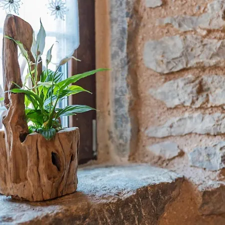Bed & Breakfast Malga Laben 3*